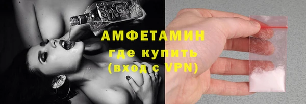 прущая мука Вяземский