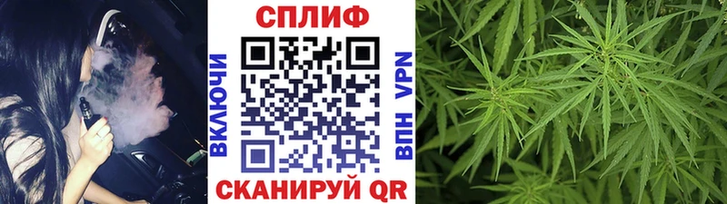 Бошки Шишки MAZAR  Павловская 